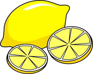 Lemon Fruits Slices Stickdatei