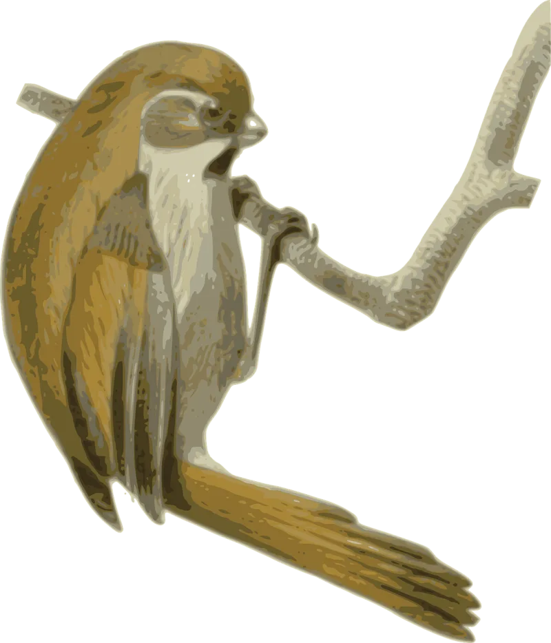Bird Feathers Animal Stickdatei – Natur