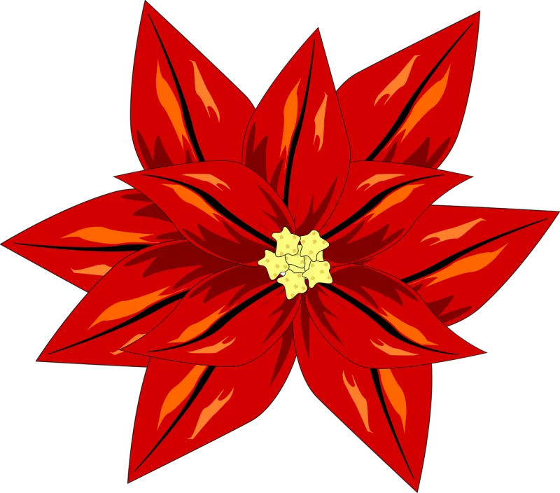Winter rose Poinsettia Flower wallpaper Stickdatei – Weihnachten