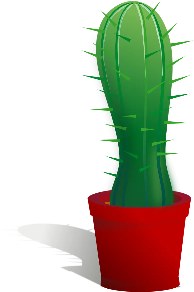 Cactus Cacti Plant Stickdatei – Natur
