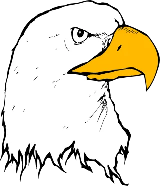 Eagle Nature Bird Stickdatei – Tiere