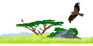 Eagle Africa Flying Stickdatei