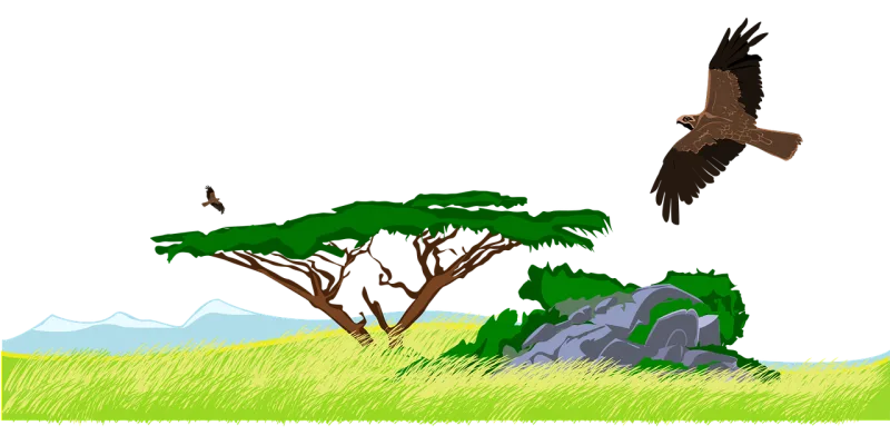 Eagle Africa Flying Stickdatei – Natur