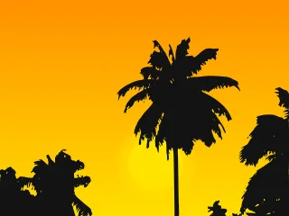 Caribbean Palm tree Palms Stickdatei