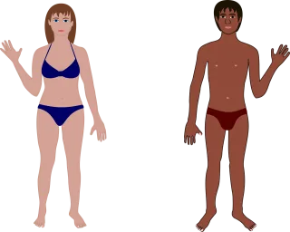 Human Man Woman Stickdatei