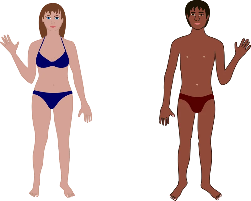 Human Man Woman Stickdatei – Natur