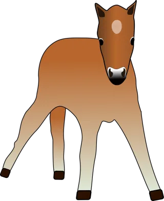 Foal Animal Colt Stickdatei