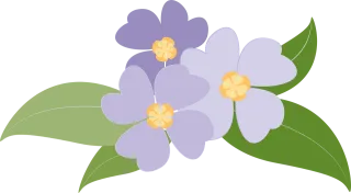Flowers Beautiful flowers Plants Stickdatei – Blumen