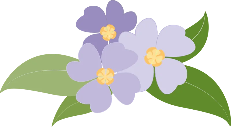Flowers Beautiful flowers Plants Stickdatei – Blumen