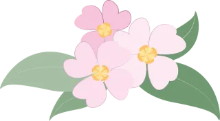 Flowers Beautiful flowers Plants Stickdatei