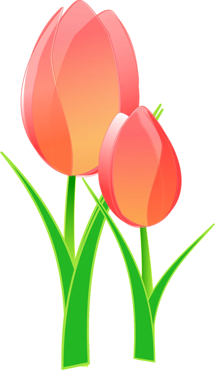 Tulips Beautiful flowers Bulbous Stickdatei – Blumen