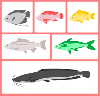 Fish Water Freshwater fish Stickdatei