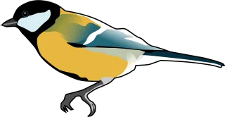 Tomtit Nature Bird Stickdatei – Tiere