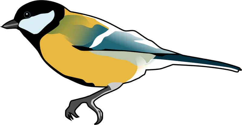 Tomtit Nature Bird Stickdatei – Tiere
