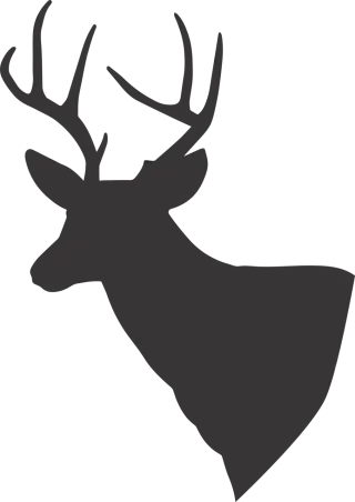Deer Deer silhouette Silhouette Stickdatei