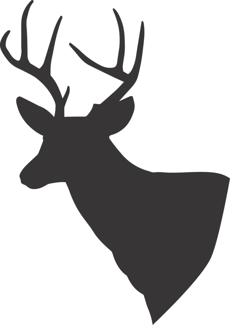 Deer Deer silhouette Silhouette Stickdatei – Tiere