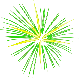 Celebration Fireworks Green Stickdatei
