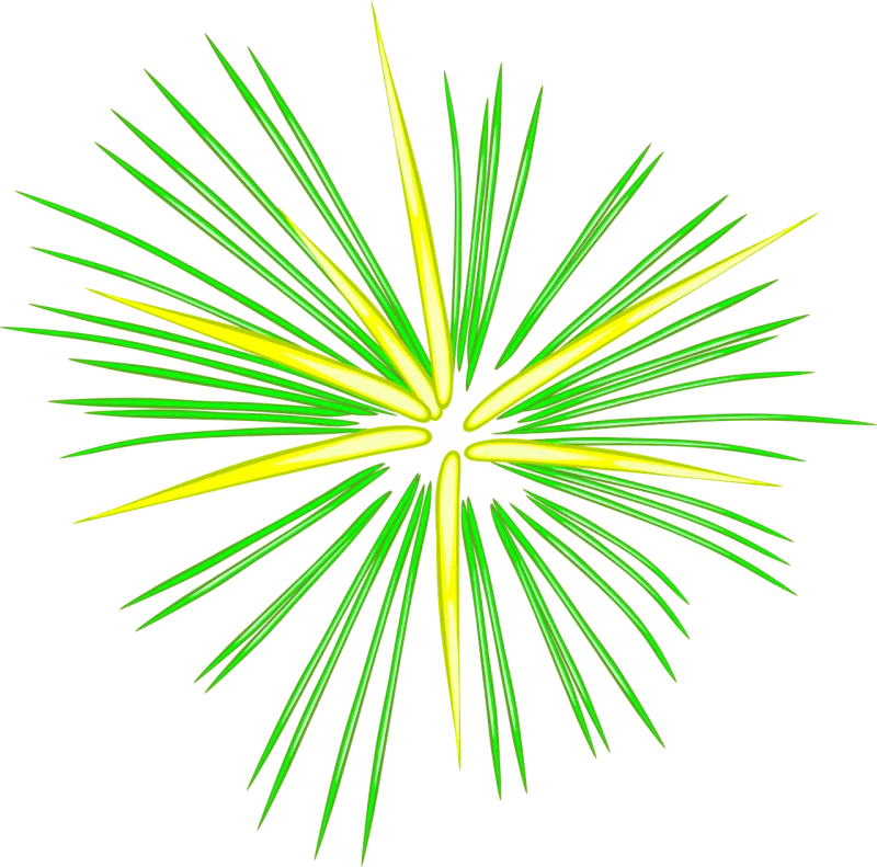 Celebration Fireworks Green Stickdatei – Natur