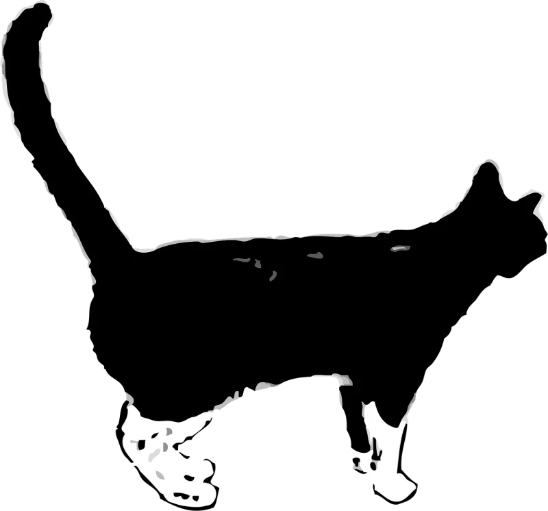 Cat Feline Animal Stickdatei – Tiere