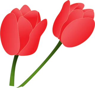 Tulips Flowers Flower wallpaper Stickdatei