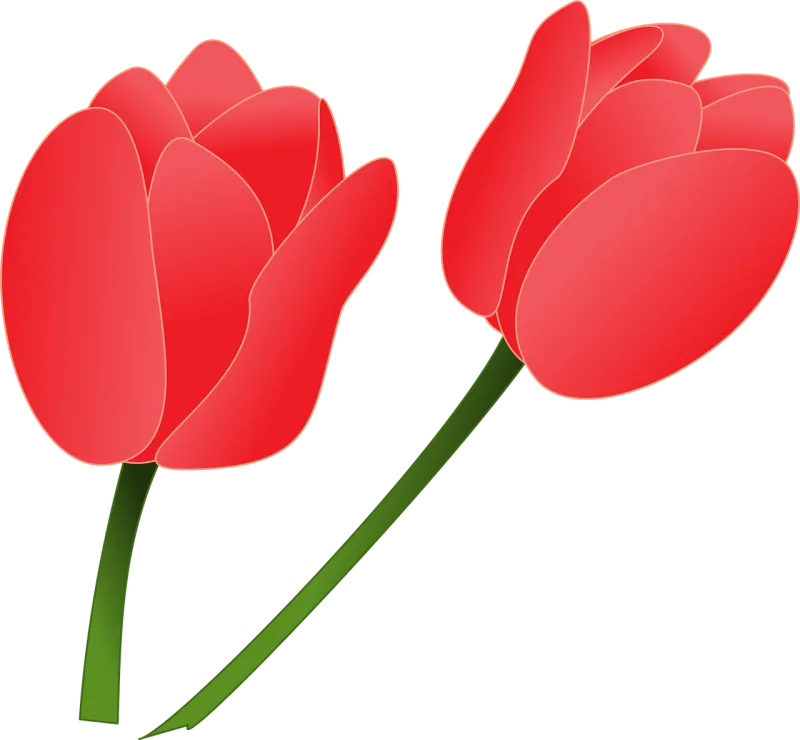 Tulips Flowers Flower wallpaper Stickdatei – Blumen