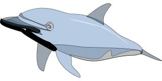 Dolphin Nature Fish Stickdatei
