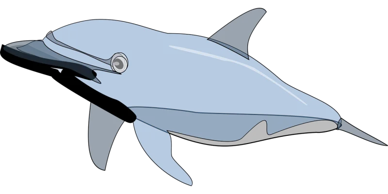 Dolphin Nature Fish Stickdatei – Tiere