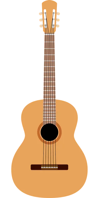 Acoustic guitar Guitar Music Stickdatei