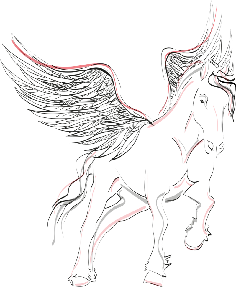 Pegasus Horse Wing Stickdatei – Tiere