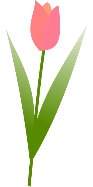 Tulip Beautiful flowers Flower background Stickdatei