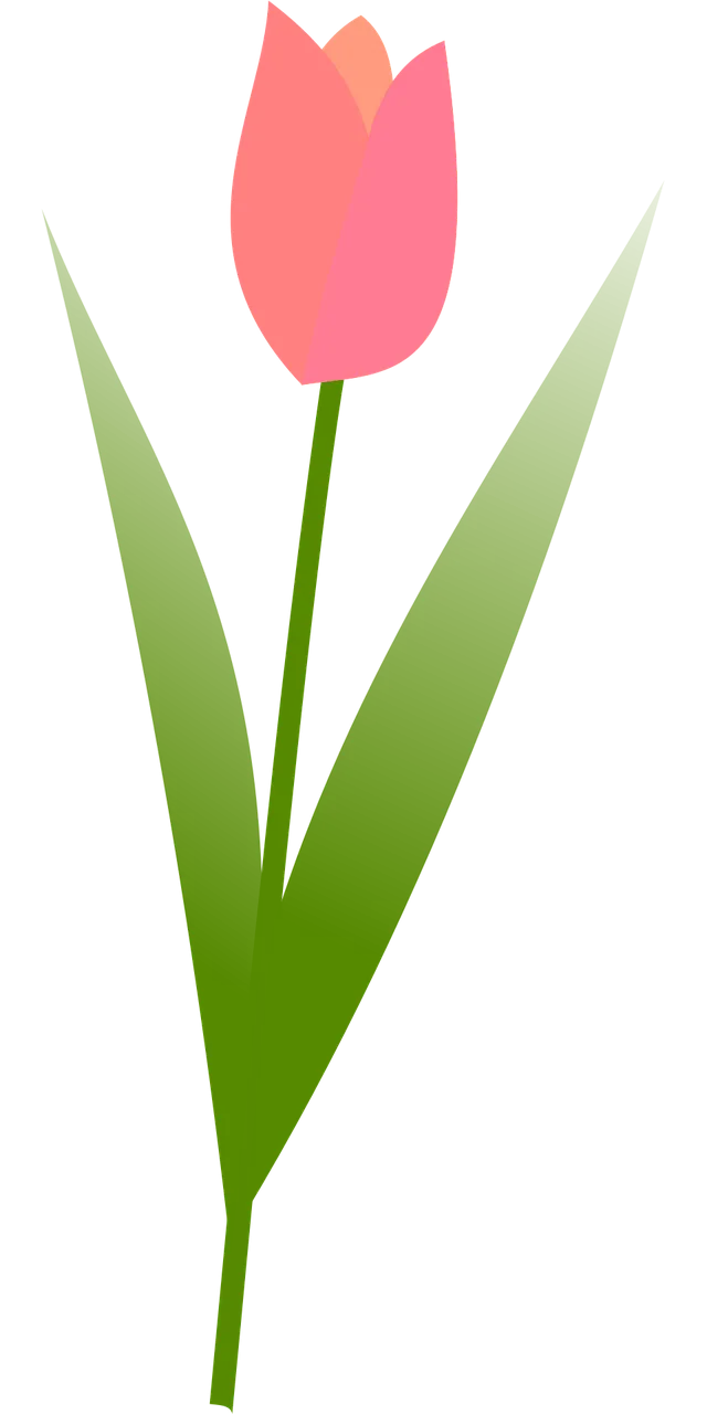 Tulip Beautiful flowers Flower background Stickdatei – Blumen