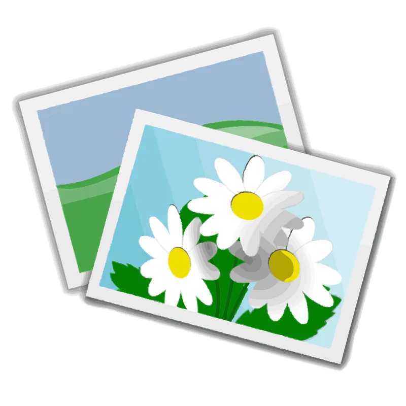 Images Photos Pictures Stickdatei – Blumen