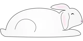 Animal Bunny Nature Stickdatei
