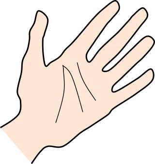 Hand Palm Human Stickdatei