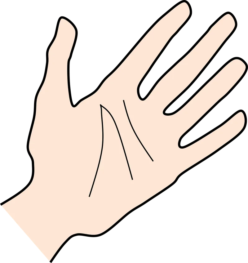Hand Palm Human Stickdatei – Natur