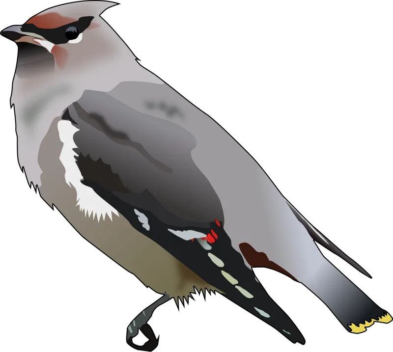 Bird Animal Nature Stickdatei – Natur