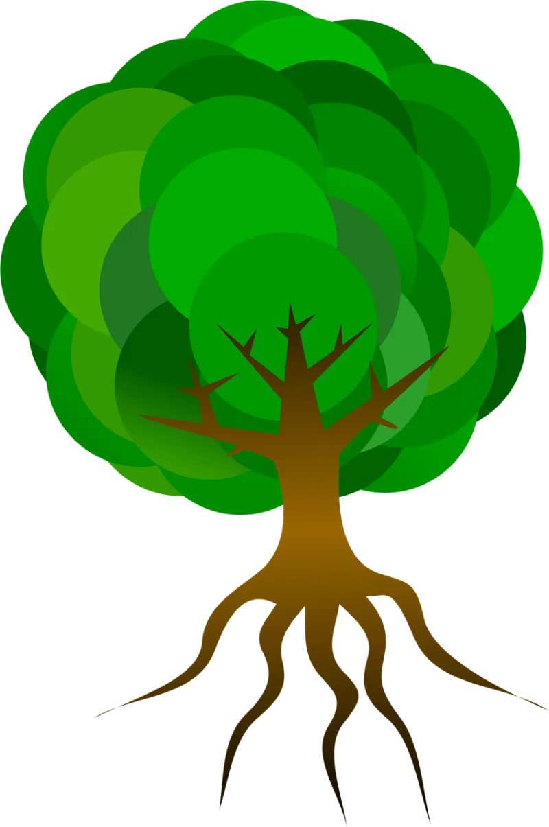 Tree Branches Roots Stickdatei – Natur