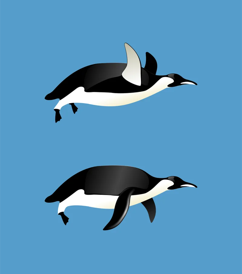 Penguins Flying Animal Stickdatei – Tiere