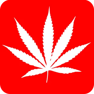 Marihuana Nature Leaf Stickdatei