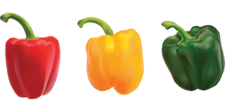 Pepper Capsicum Vegetable Stickdatei
