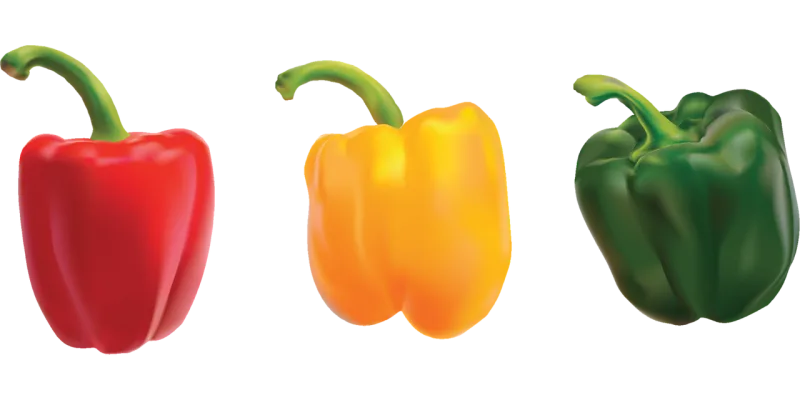Pepper Capsicum Vegetable Stickdatei – Weihnachten