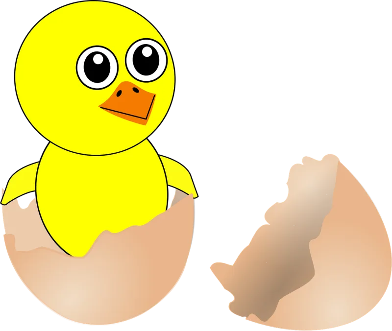 Chick Hatching Egg Stickdatei – Natur