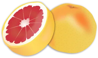 Grapefruit Fruit Food Stickdatei