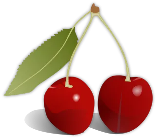 Cherry Fruit Food Stickdatei