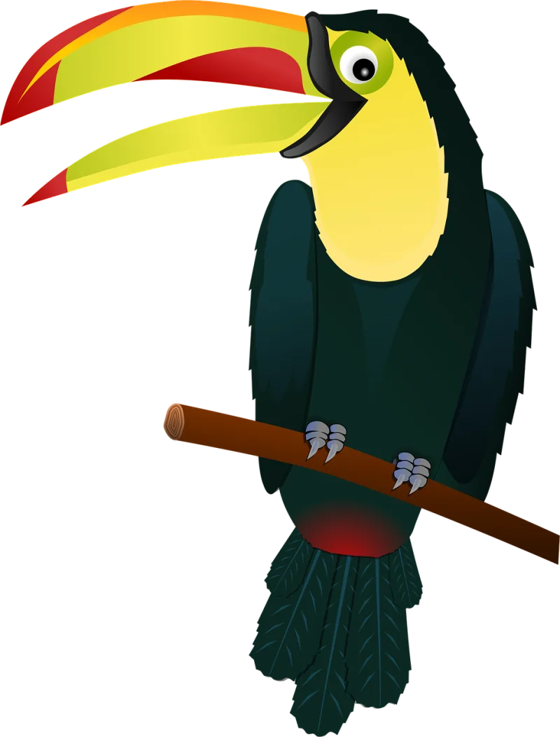Toucan Nature Bird Stickdatei – Tiere