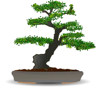 Bonsai Tree Dwarf tree Stickdatei