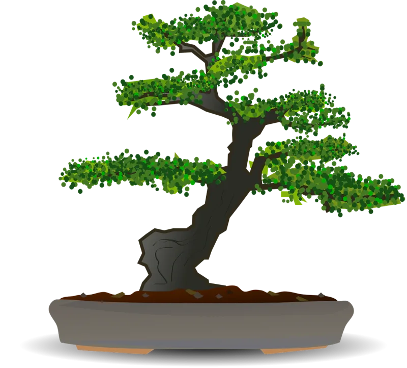 Bonsai Tree Dwarf tree Stickdatei – Natur