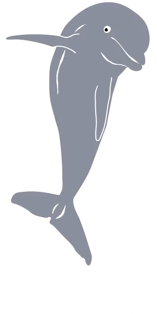Dolphin Mammal Nature Stickdatei
