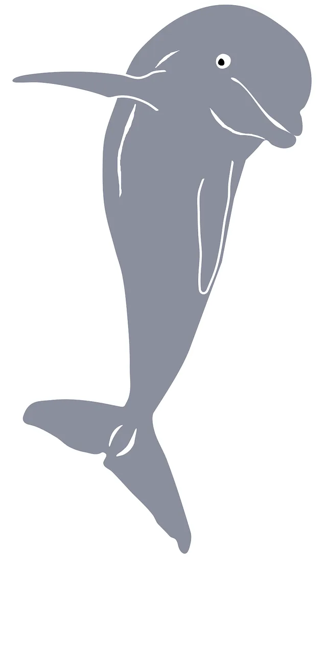 Dolphin Mammal Nature Stickdatei – Tiere