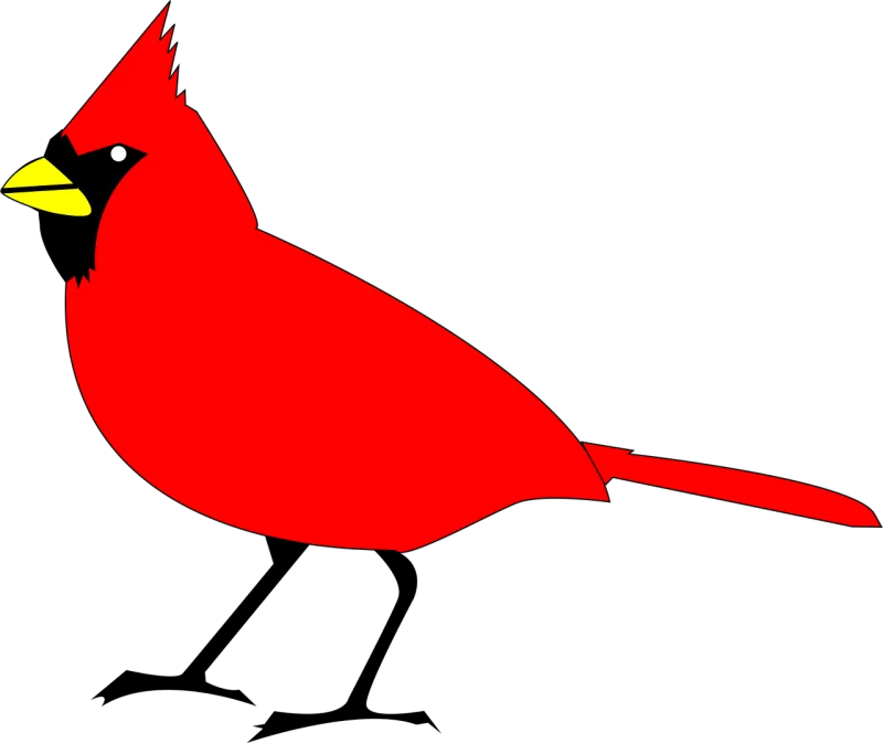 Cardinal Nature Bird Stickdatei – Tiere